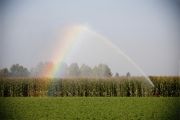 Picture for category Agricultural Irrigation