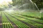 Picture for category Hobby Farm & Garden Irrigation