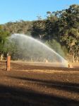DuCaR Jet 50T sprinkler at solid irrigation system