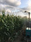 IrriCruiser Mico at Corn Irrigation