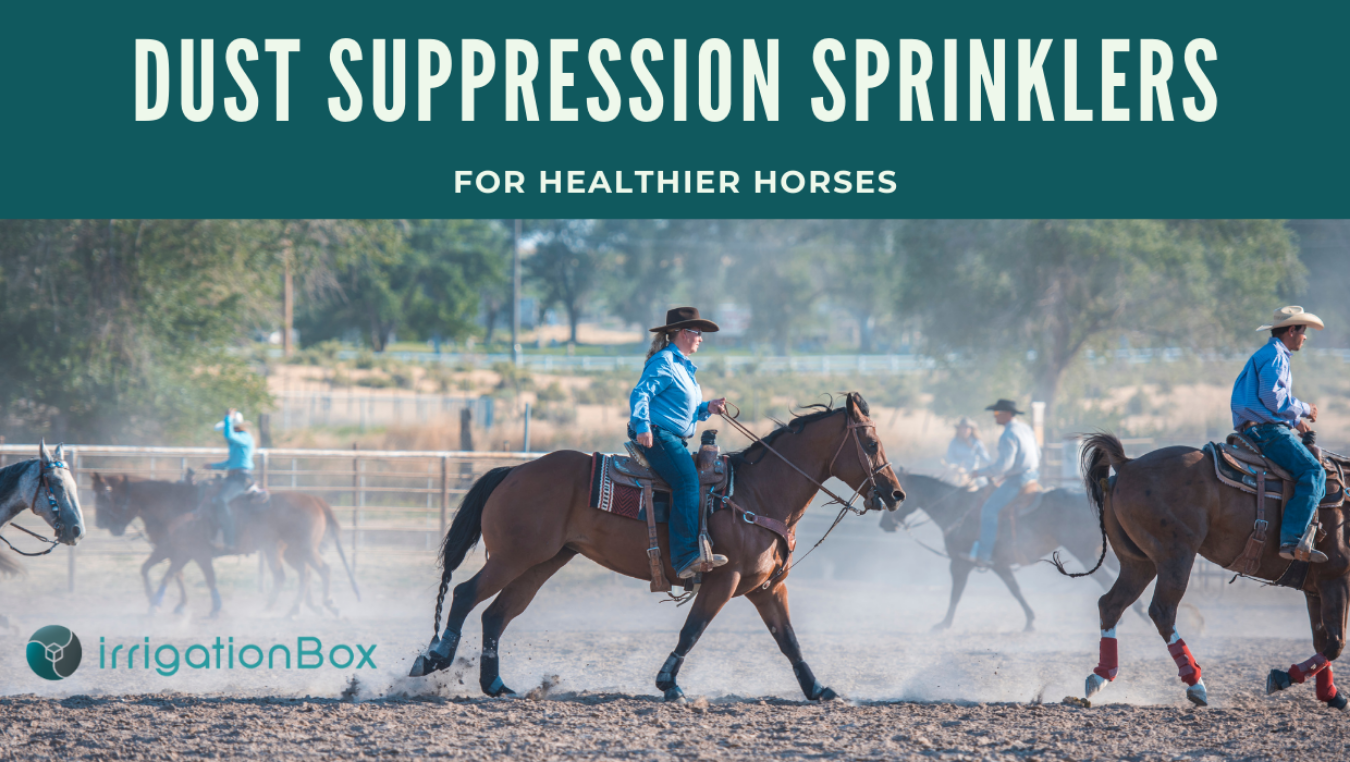 The Importance of Dust Suppression in Horse Arena