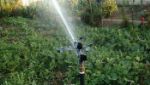 Impact Atom 22 sprinkler perfect water distribution